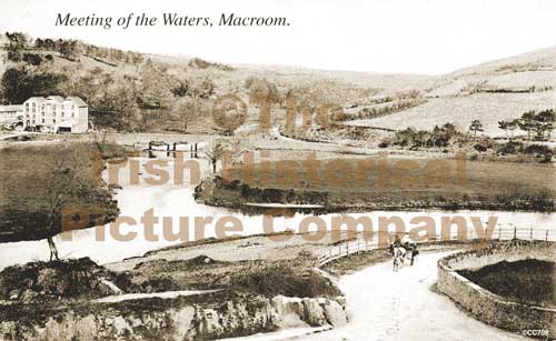 CC-00708-MACROOM-D