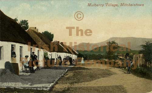 CC-01867-MULBERRY_VILLAGE-D