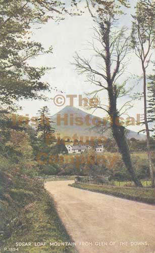 WK-00375-GLEN_OF_THE_DOWNS-D