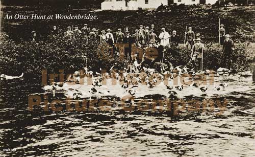 WK-00383-WOODENBRIDGE-D